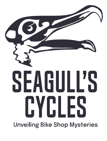 Seagull’s Cycles
